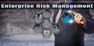 Professional Certificate in Enterprise Risk Management (ERM)