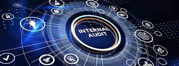 Professional Certificate in Internal Audit